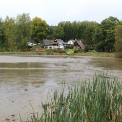 Region: Rybník ve Vernéřově je kvůli opravě hráze bez vody