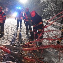 Region: Těžký sníh lámal a vyvracel stromy