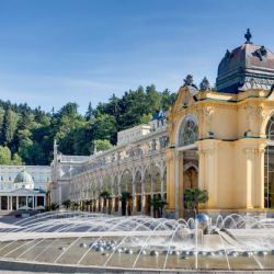 Region: V Mariánských Lázních léčí nově kožní onemocnění