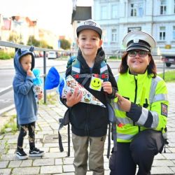 Region: Zebra se za Tebe nerozhlédne!