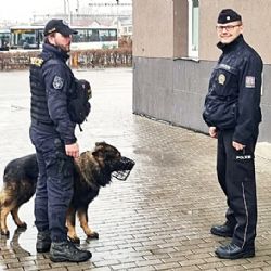 Sokolov: Části města jsou pod dozorem společných hlídek