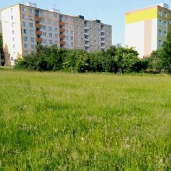 Sokolov: Luk bez zásahů ve městě opět přibude