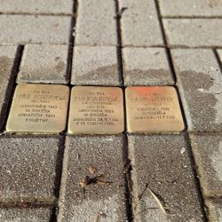 Sokolov: Město se připojilo k pietní tradici čištění kamenů zmizelých