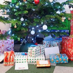 Sokolov: Pod stromky naděje skončily desítky dárků pro děti