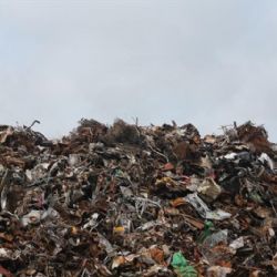 Sokolov: Radnice řeší rostoucí náklady na třídění odpadů