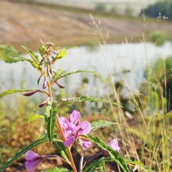Sokolov: S prezidentem HK o útlumu těžby, dopravě i budoucnosti