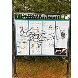 Sokolov: Za odhalení vandalů nabízí město finanční odměnu