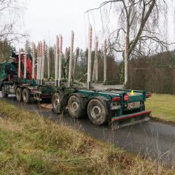 Sokolovsko: Dostal smyk a narazil do stromu