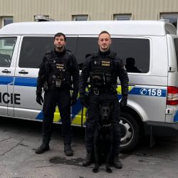 Sokolovsko: Pes Orin vypátral řidiče, který utekl od nehody