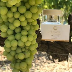 Do ČR se nově dováží španělská kosmetika značky PERLAGE využívající kmenové buňky vinné révy