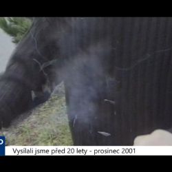 2001 – Sokolov: Nová vyhláška omezuje zábavnou pyrotechniku (TV Západ)