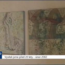 2002 – Sokolov: V zámku vystavuje skupina P 89 (TV Západ)