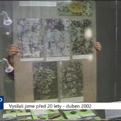 2002 – Sokolov: Výstava nabízí lišejníky pěti kontinentů (TV Západ)