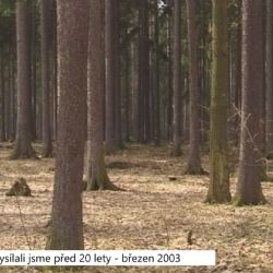 2003 – Sokolov: Město odmítá žádost Lesů ČR a myslivců (TV Západ)