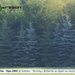 2003 – Sokolov: Stromky z Bohemie se objeví na vánočních trzích (TV Západ)