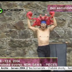 2004 – Cheb: Dvorky nabídly pestrou kulturní směs (TV Západ)