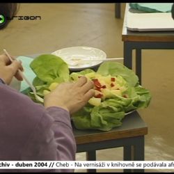 2004 – Cheb: Na vernisáži v knihovně se podávala africká jídla (TV Západ)