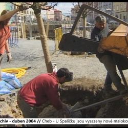 2004 – Cheb: U Špalíčku jsou vysazeny nové malokorunní lípy (TV Západ)