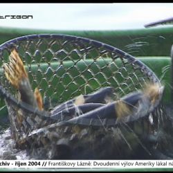 2004 – Františkovy Lázně: Dvoudenní výlov Ameriky lákal návštěvníky (TV Západ)