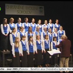2004 – Sokolov: Bez komentáře – Benefiční akce Chráněného bydlení (TV Západ)