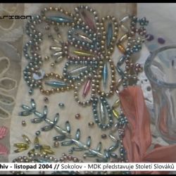 2004 – Sokolov: MDK představuje Století Slováků v Čechách (TV Západ)