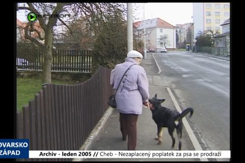 Foto: 2005 – Cheb: Nezaplacený poplatek za psa se prodraží (TV Západ)