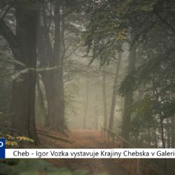Cheb: Igor Vozka vystavuje Krajiny Chebska v Galerii 4 (TV Západ)