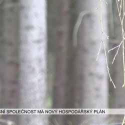Cheb: Lesní společnost má nový hospodářský plán (TV Západ)