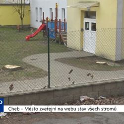 Cheb: Město zveřejní na webu stav všech stromů (TV Západ)