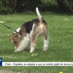 Cheb: Poplatky za odpady a psy je možné platit do konce května (TV Západ)