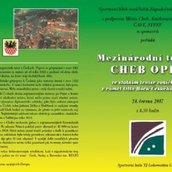 Cheb: V červnu se uskuteční mezinárodní turnaj vozíčkářů ve stolním tenise 