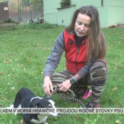 Cheb: Útulkem v Horní Hraničné projdou ročně stovky psů (TV Západ)