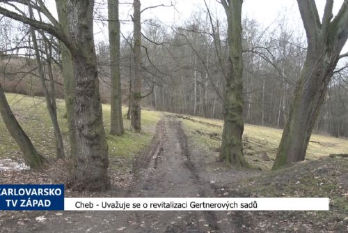 Foto: Cheb: Uvažuje se o revitalizaci Gertnerových sadů (TV Západ)