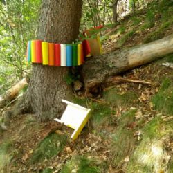 Cheb: Vandal řádil v Kouzelném lese