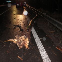 Horní Žďár: Řidič kvůli nepozornosti narazil do padlého stromu