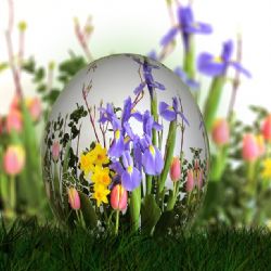 Karlovy Vary: Farmářské trhy nabízí jarní a velikonoční sortiment