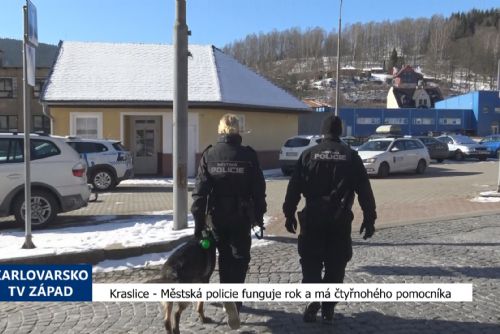 Foto: Kraslice: Městská policie funguje rok a má čtyřnohého pomocníka (TV Západ)