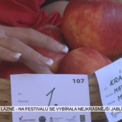 Mariánské Lázně: Na festivalu se vybírala nejkrásnější jablka (TV Západ)