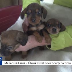 Mariánské Lázně: Útulek získal nové boudy na zimu (TV Západ)