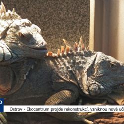 Ostrov: Ekocentrum projde rekonstrukcí, vzniknou nové učebny (TV Západ)