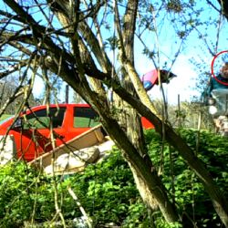 Ostrov: Muže na černé skládce natočila skrytá kamera