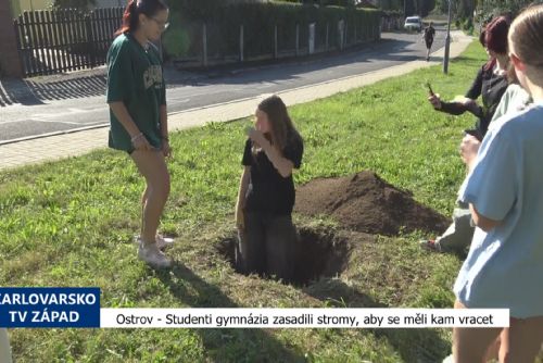 Foto: Ostrov: Studenti gymnázia vysadili stromy, aby se měli kam vracet (TV Západ)