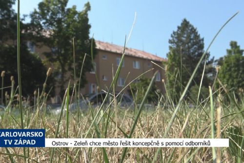 Foto: Ostrov: Zeleň chce město řešit koncepčně s pomocí odborníků (TV Západ)