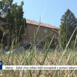 Ostrov: Zeleň chce město řešit koncepčně s pomocí odborníků (TV Západ)