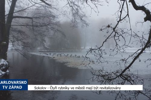 Foto: Sokolov: Čtyři rybníky ve městě mají být revitalizovány (TV Západ)