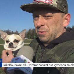 Sokolov: Inzerát nabízel psa výměnou za elektroniku (TV Západ)