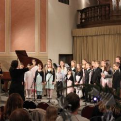 Sokolov: Kolibříci úspěšní v celostátním kole