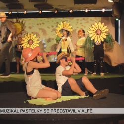 Sokolov: Muzikál Pastelky se představil v Alfě (TV Západ)