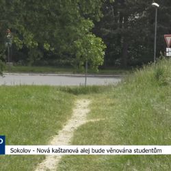 Sokolov: Nová kaštanová alej bude věnována studentům (TV Západ)