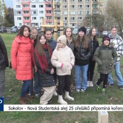 Sokolov: Nová Studentská alej 25 ořešáků připomíná kořeny (TV Západ)